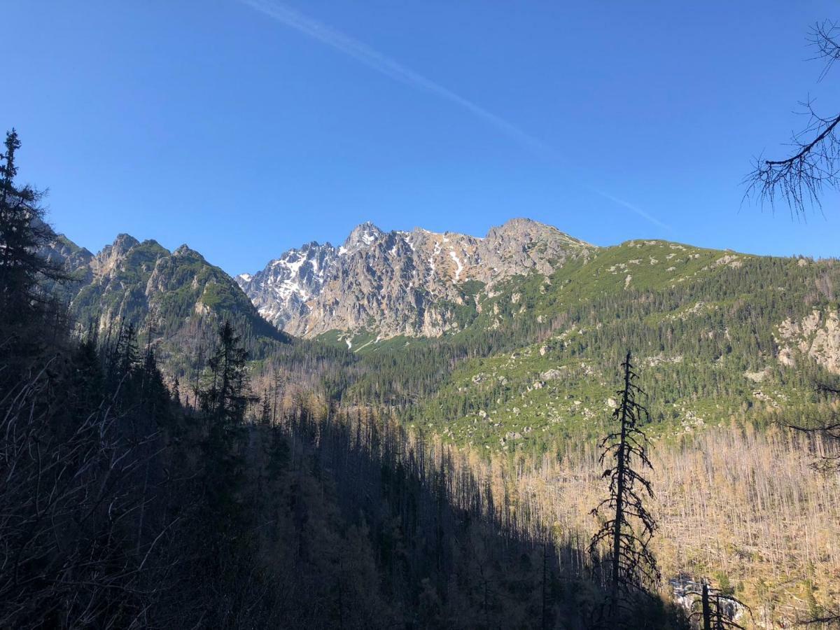 Vysoké Tatry Vila Horec, Vysne Hagy מראה חיצוני תמונה